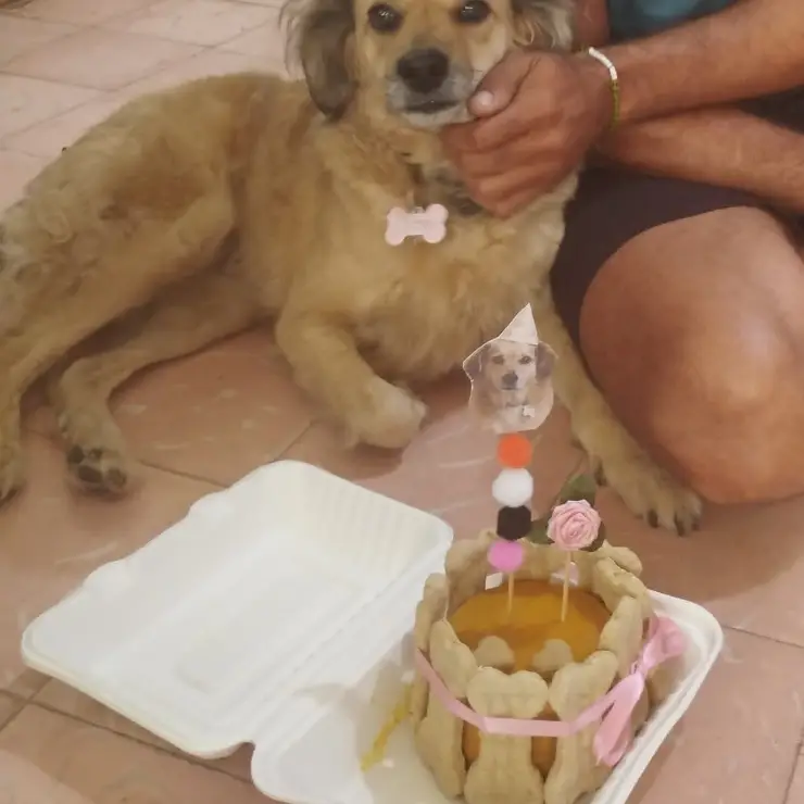 Pasteles de cumpleaños 100% Naturales según el gusto por encargo. — imagen 1