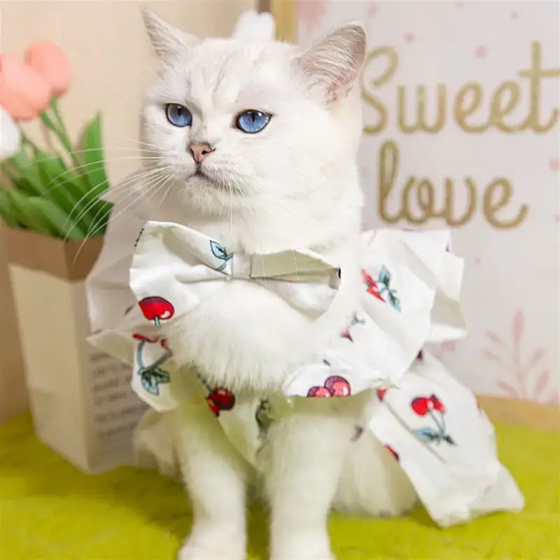 Vestido de cereza — imagen 2
