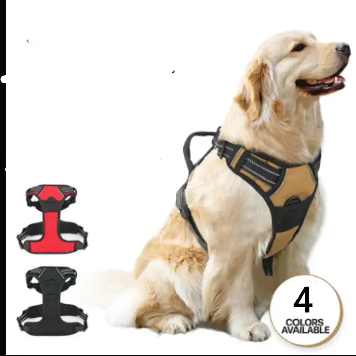Perchera talla XL — imagen 2