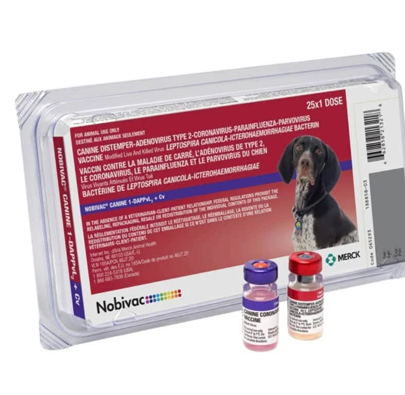 Hexavalente's foto | Free of Lice |  BizneCubano