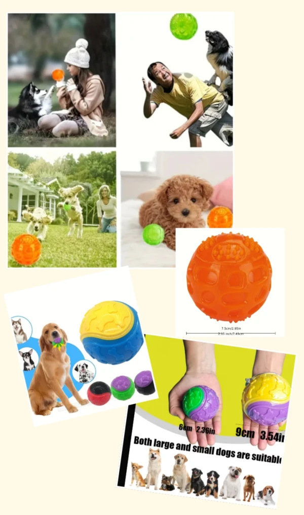 Pelota dura pitona xl's foto | Free of Lice |  BizneCubano