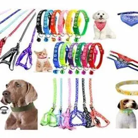 Imagen de Percheras, correas, Collares 