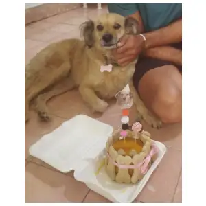 Pasteles de cumpleaños 100% Naturales según el gusto por encargo. miniatura 1