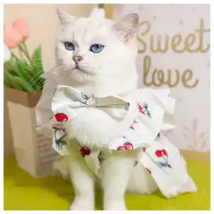 Vestido de cereza miniatura 1