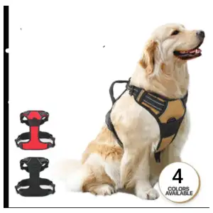 Perchera talla XL miniatura 1