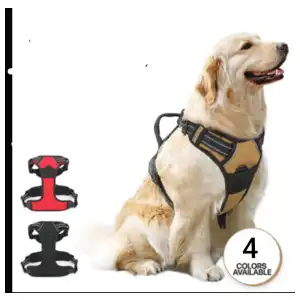 Perchera talla XL miniatura 2